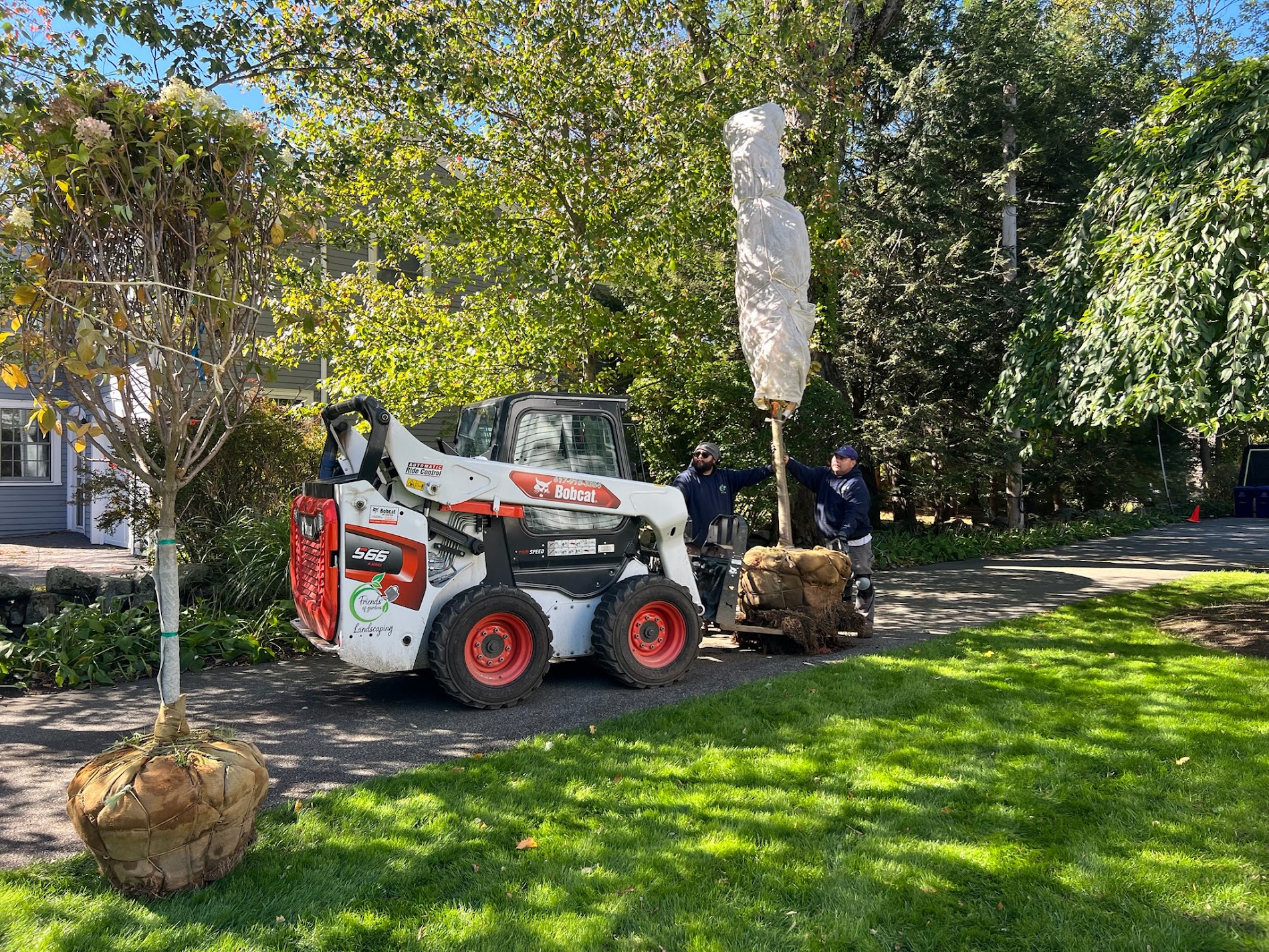newton landscaping