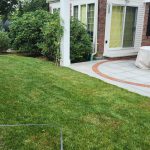 Late Summer Seeding: Is It Worth It?