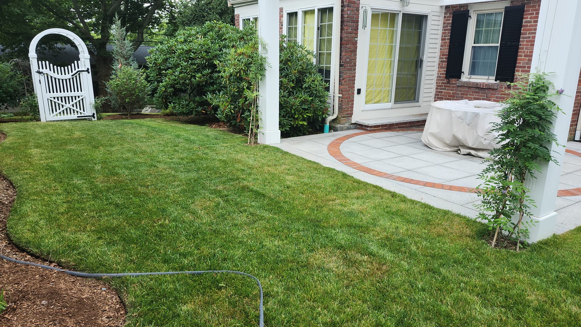 Late Summer Seeding: Is It Worth It?